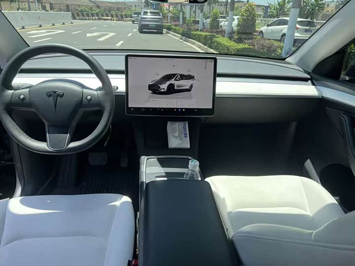 Tesla Model Y, 2021 — фото 9 из 9