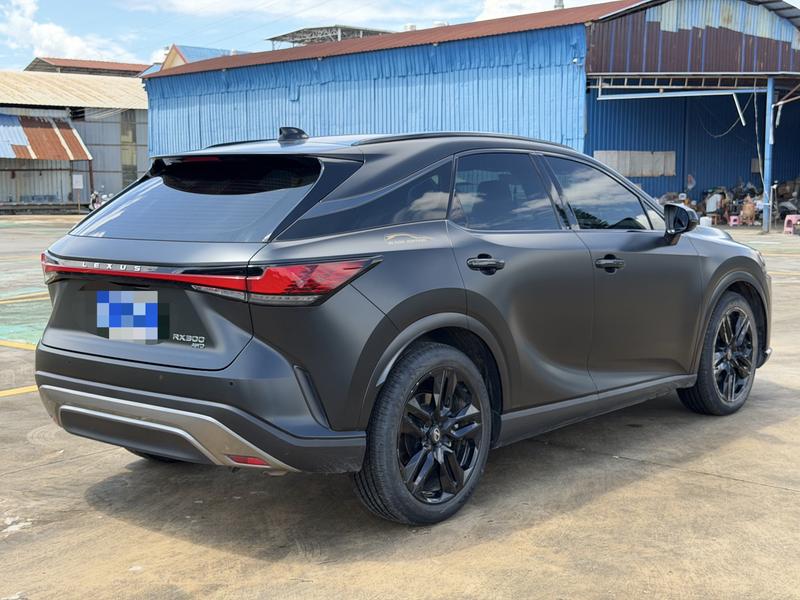 Lexus RX, 2025 — фото 6 из 10
