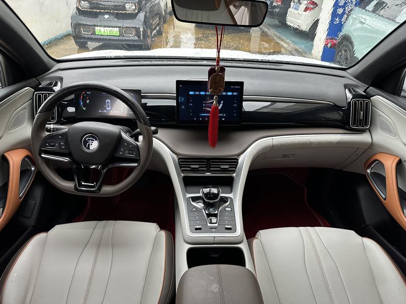 BYD Song Pro Hybrid, 2022 — фото 6 из 10