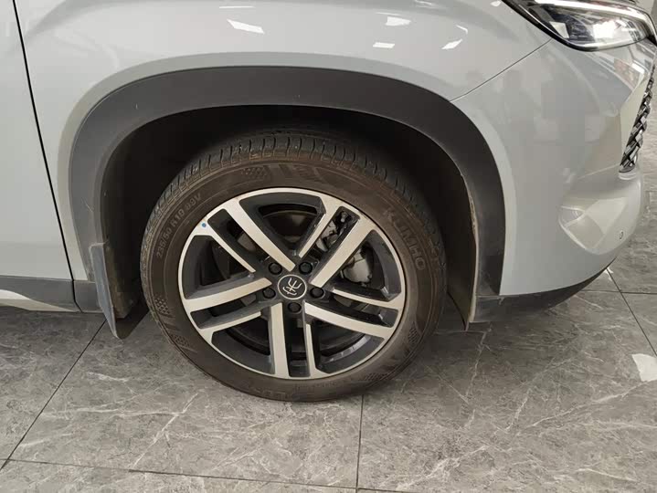BYD Song L DM-i Hybrid, 2024 — фото 6 из 9