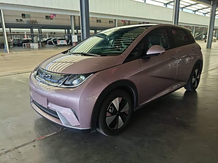 BYD Dolphin, 2023 — купить в Владимире под ключ