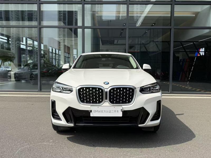 BMW X4, 2023 — фото 2 из 9