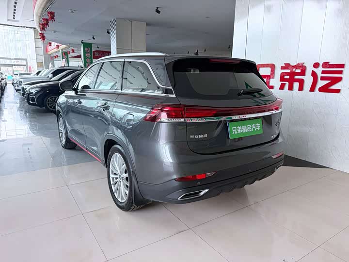 Changan Oshan X7 Plus, 2023 — фото 8 из 9