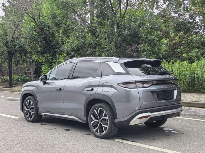 BYD Song L DM-i Hybrid, 2024 — фото 4 из 9