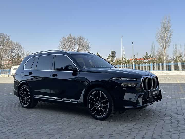 BMW X7, 2024 — фото 6 из 9