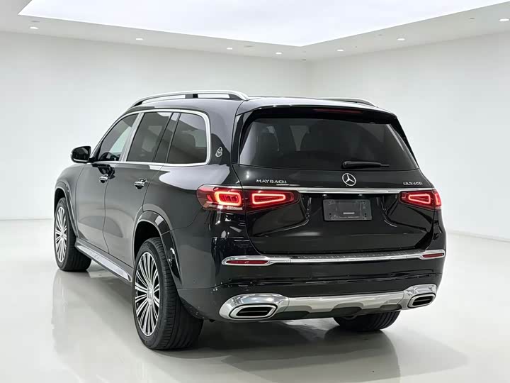 Mercedes-Benz Maybach GLS, 2022 — фото 4 из 9