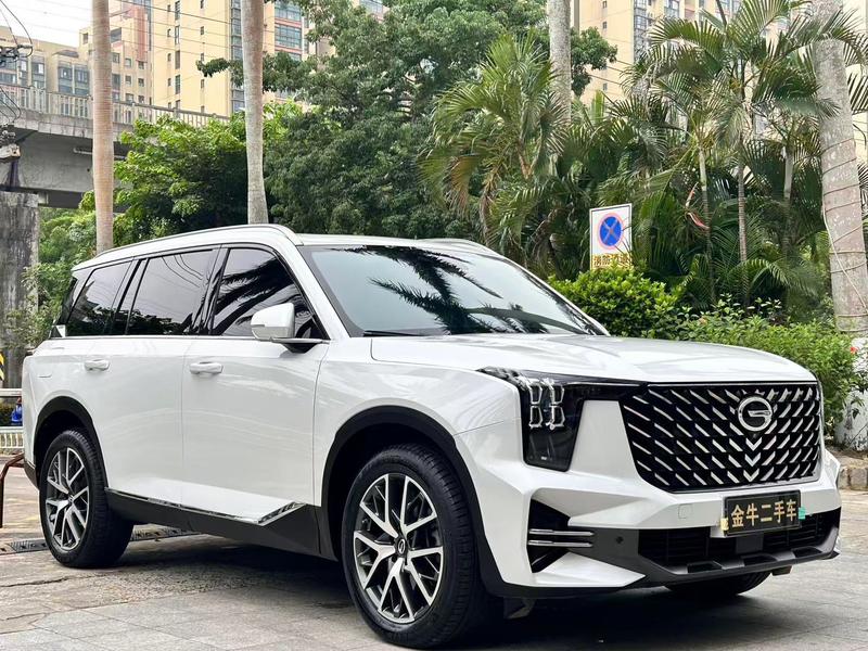 GAC Trumpchi GS8, 2021 — фото 3 из 10