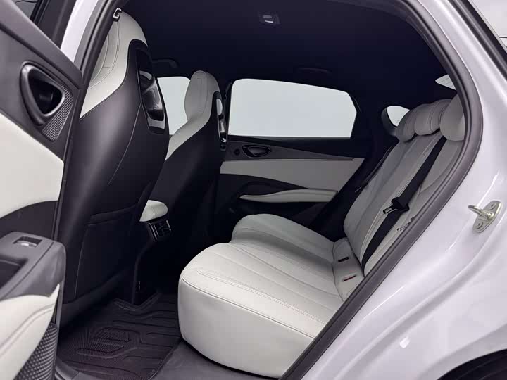 BYD Seal 06 Hybrid/EV, 2024 — фото 8 из 9