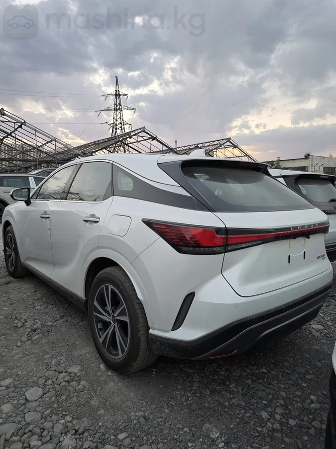 Lexus RX, 2026 — фото 7 из 12