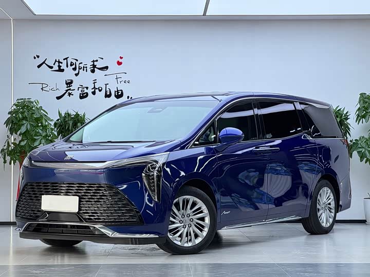 Buick GL8 Century, 2023 — купить в Туле под ключ