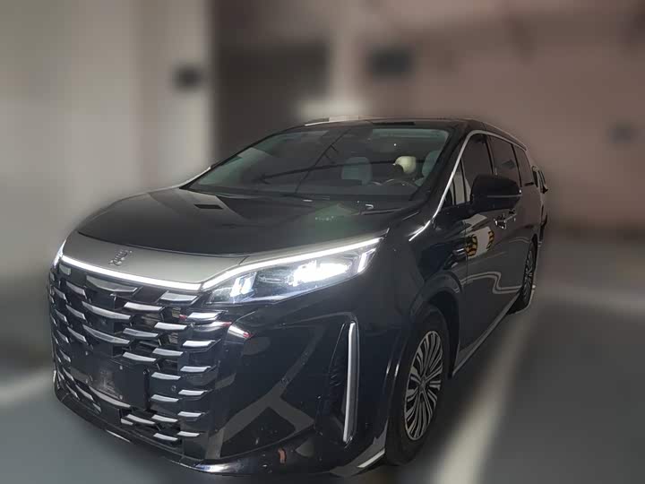 BYD Xia, 2024 — купить в Уфе под ключ