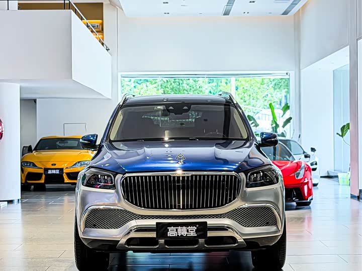 Mercedes-Benz Maybach GLS, 2022 — фото 3 из 9