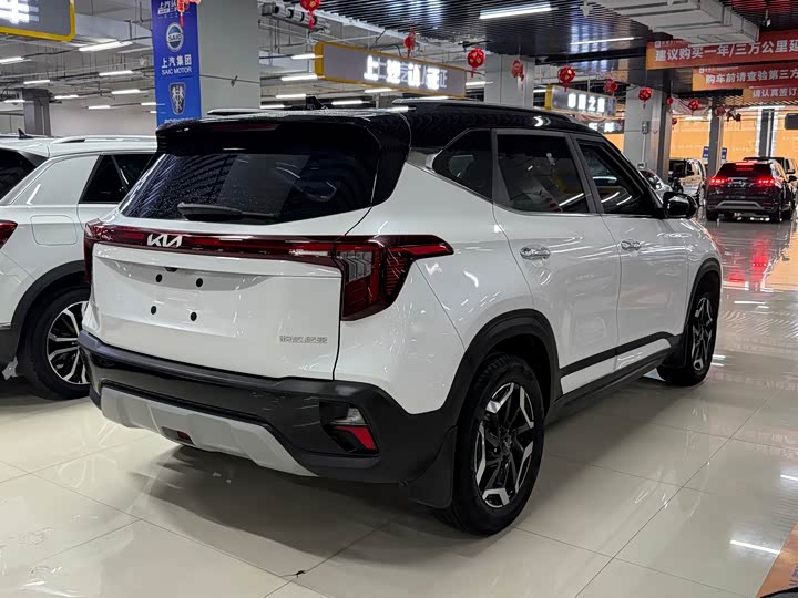 Kia Seltos, 2023 — фото 8 из 9