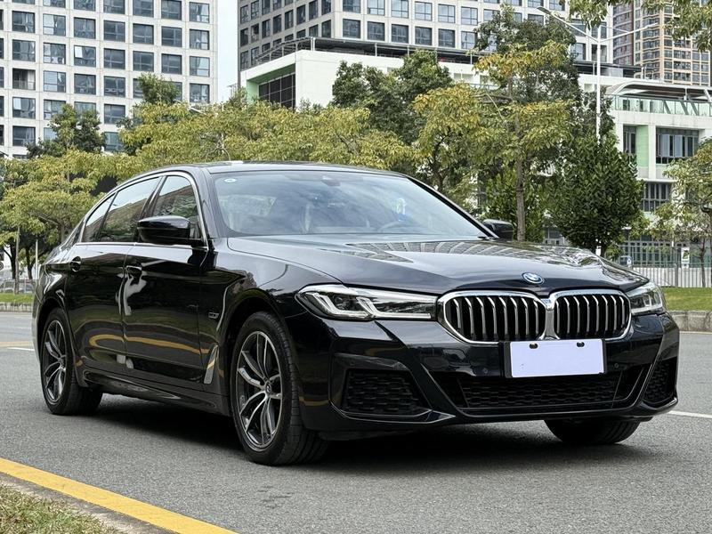 BMW 5 Series Hybrid, 2022 — фото 3 из 12