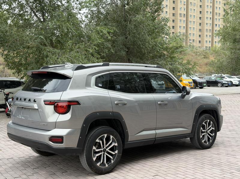 Haval H-Dog, 2023 — фото 6 из 10