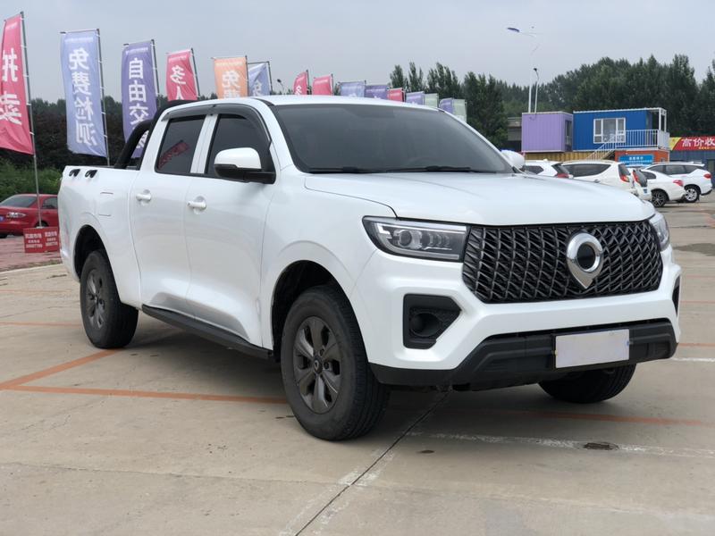 Great Wall Pao, 2023 — фото 3 из 9