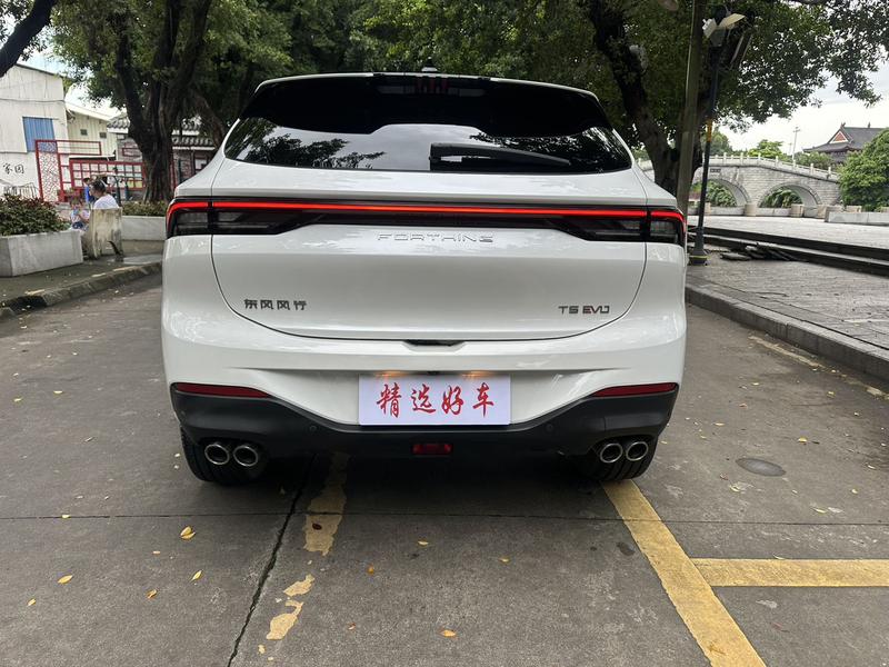 Dongfeng Forthing T5 EVO, 2022 — фото 5 из 12