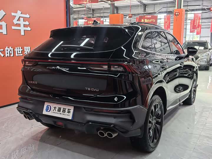 Dongfeng Forthing T5 EVO, 2023 — фото 6 из 9