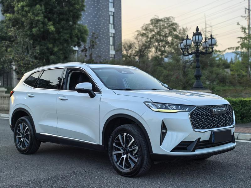 Haval H6, 2023 — фото 3 из 12