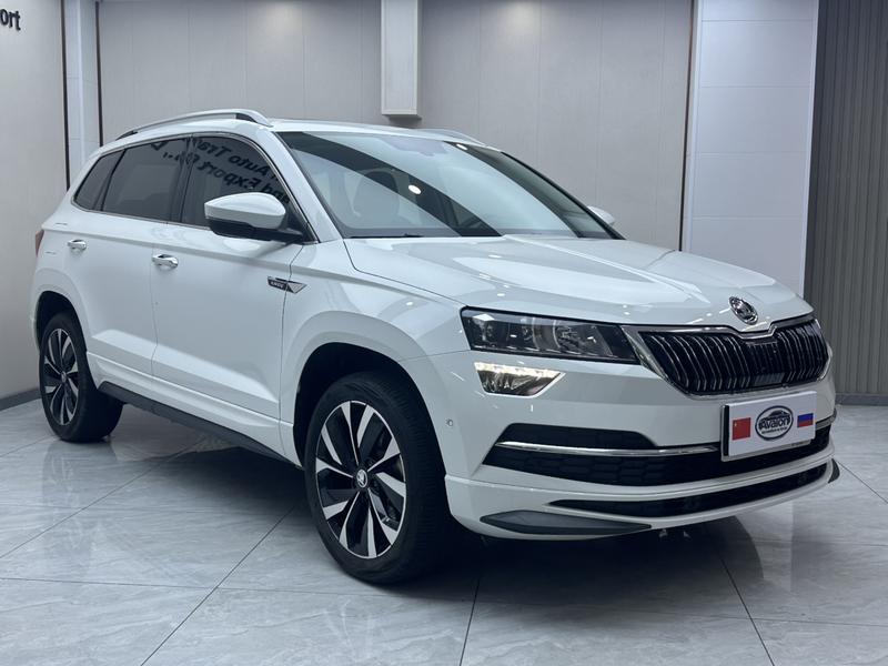 Skoda Karoq, 2024 — фото 3 из 12