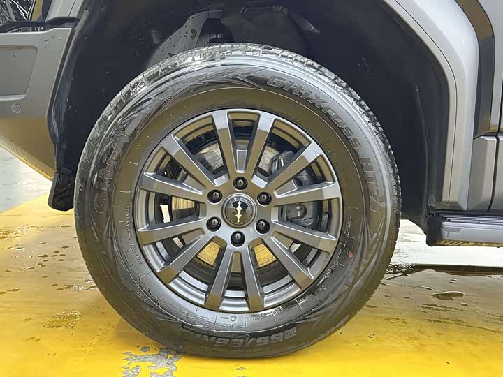 BYD FangChengBao Leopard 5, 2024 — фото 9 из 9