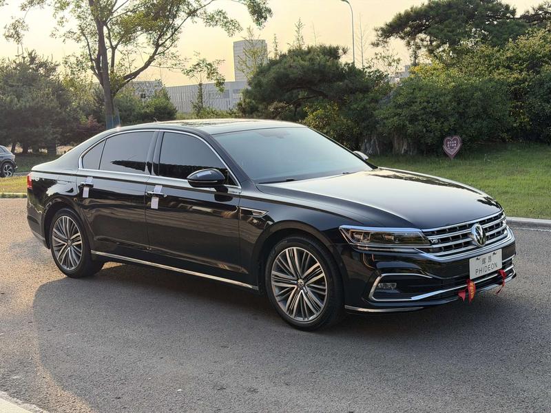 Volkswagen Phideon, 2023 — фото 3 из 10