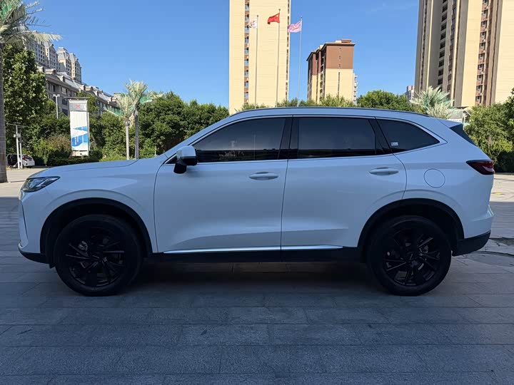 Haval H6, 2022 — фото 3 из 9