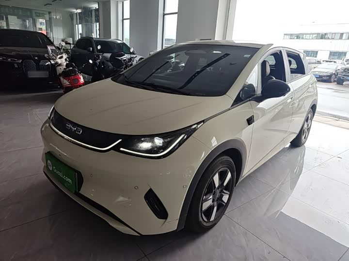 BYD Dolphin, 2025 — купить в Иванове под ключ