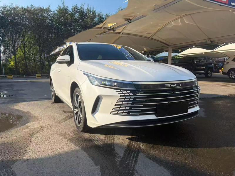 BYD Destroyer 05, 2022 — фото 3 из 12