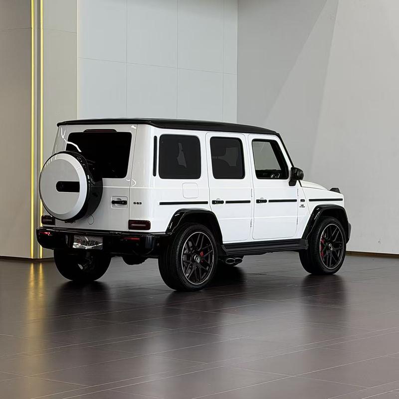 Mercedes-Benz G-Class, 2023 — фото 6 из 11