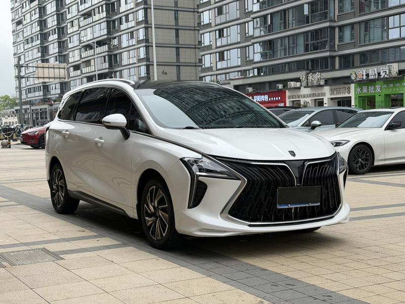 Dongfeng Forthing Yacht, 2023 — фото 3 из 11
