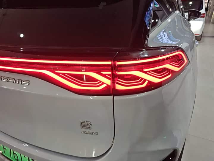 BYD Tang Hybrid/EV, 2024 — фото 8 из 9