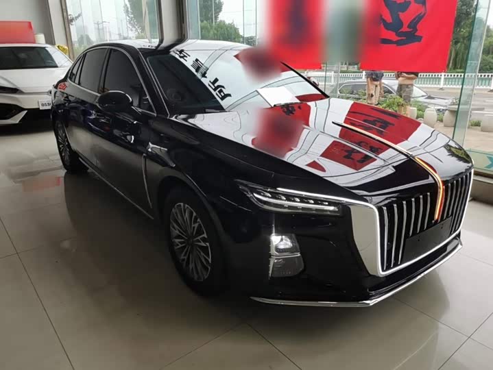 Hongqi H5, 2023 — фото 4 из 9