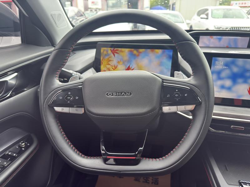 Changan Oshan Z6, 2023 — фото 7 из 12