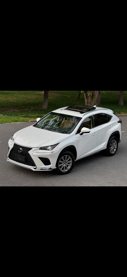 Lexus NX, 2021 — фото 2 из 12