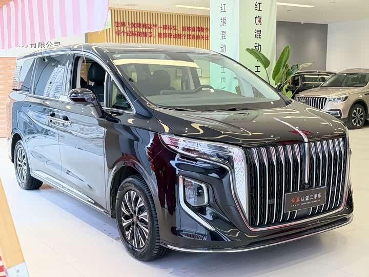 Hongqi HQ9 Hybrid, 2024 — фото 8 из 9