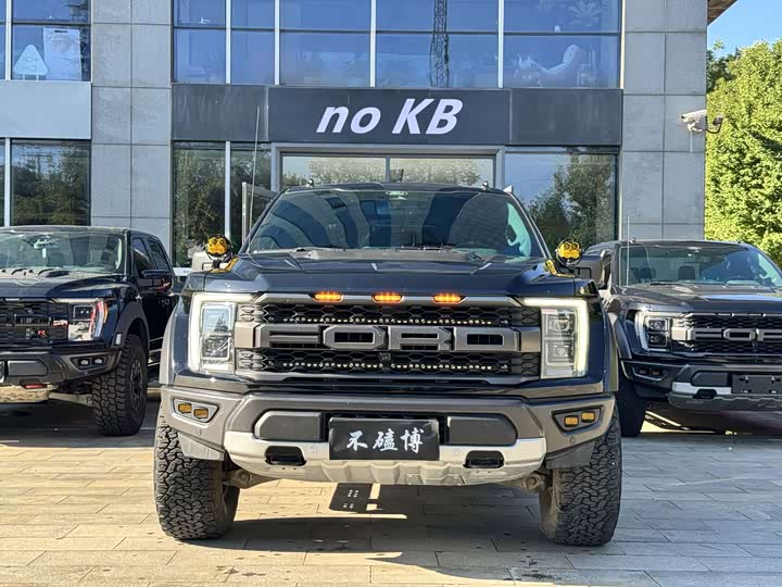 Ford F-150 Raptor, 2023 — фото 2 из 9
