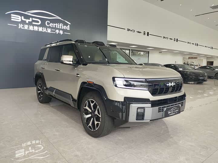 BYD FangChengBao Leopard 8, 2024 — фото 3 из 9
