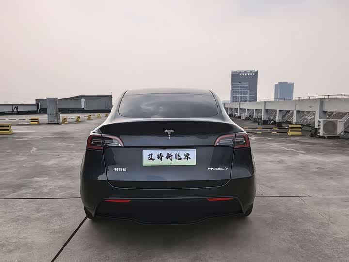 Tesla Model Y, 2024 — фото 6 из 9