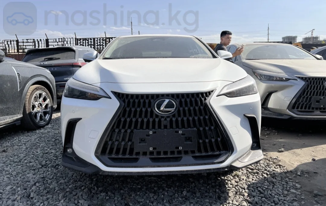 Lexus NX, 2025