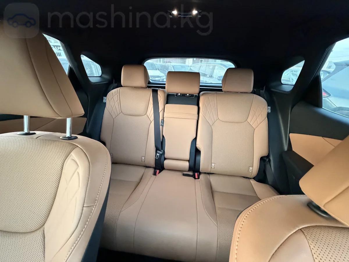 Lexus RX, 2025 — фото 10 из 12