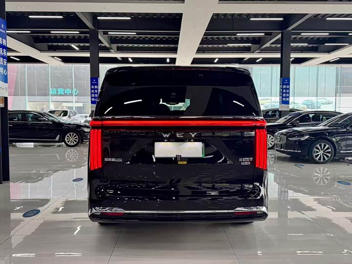 Wey 80 Hybrid, 2025 — фото 8 из 9