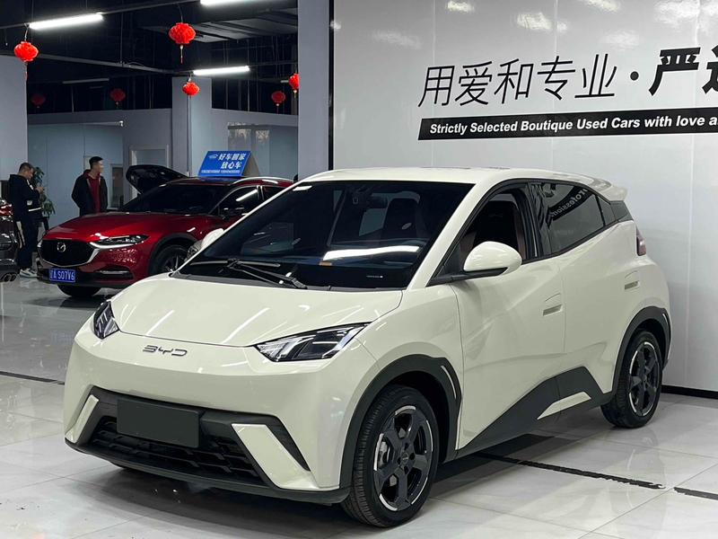 BYD Seagull, 2023 — купить в Туле под ключ