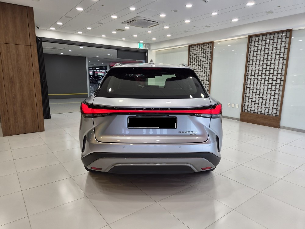 Lexus RX, 2023 — фото 4 из 12