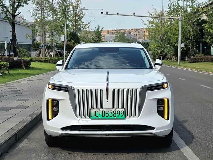Hongqi E-HS9, 2022 — фото 2 из 9