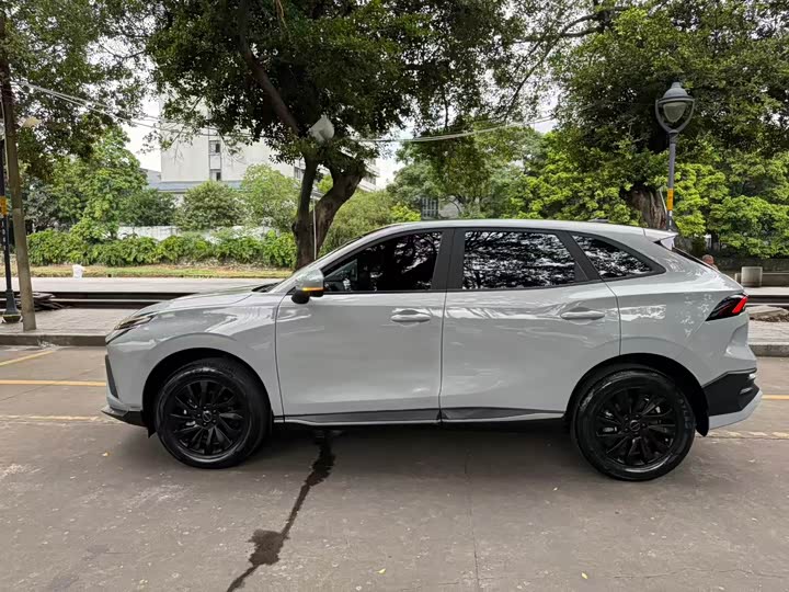 Dongfeng Forthing T5 EVO, 2023 — фото 5 из 9