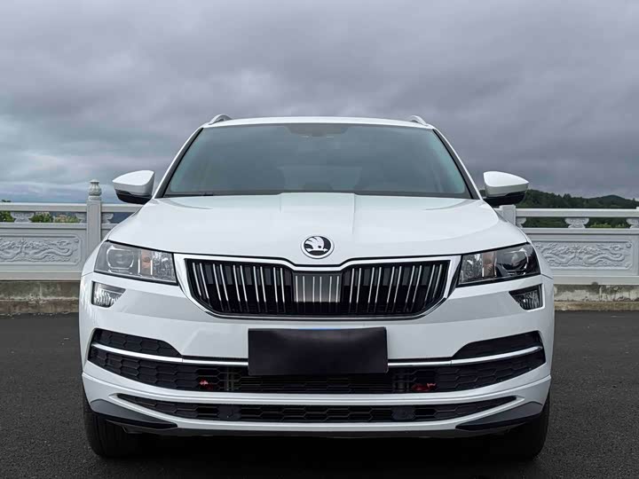 Skoda Karoq, 2023 — фото 2 из 9