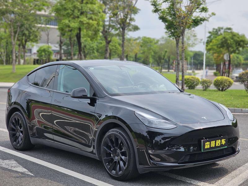 Tesla Model Y, 2022 — фото 3 из 12