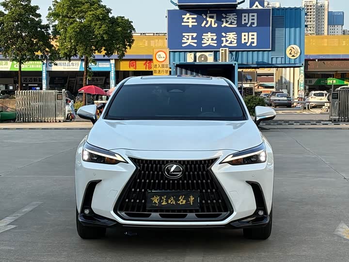 Lexus NX, 2024 — фото 2 из 9