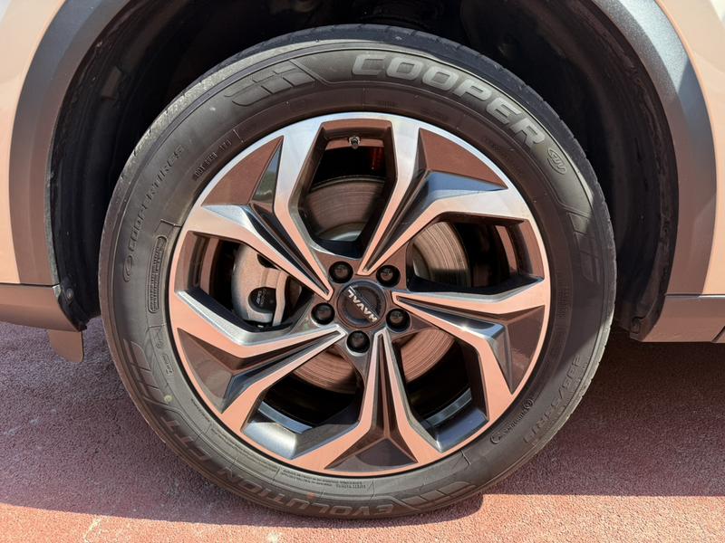 Haval Ruge Max, 2023 — фото 4 из 10